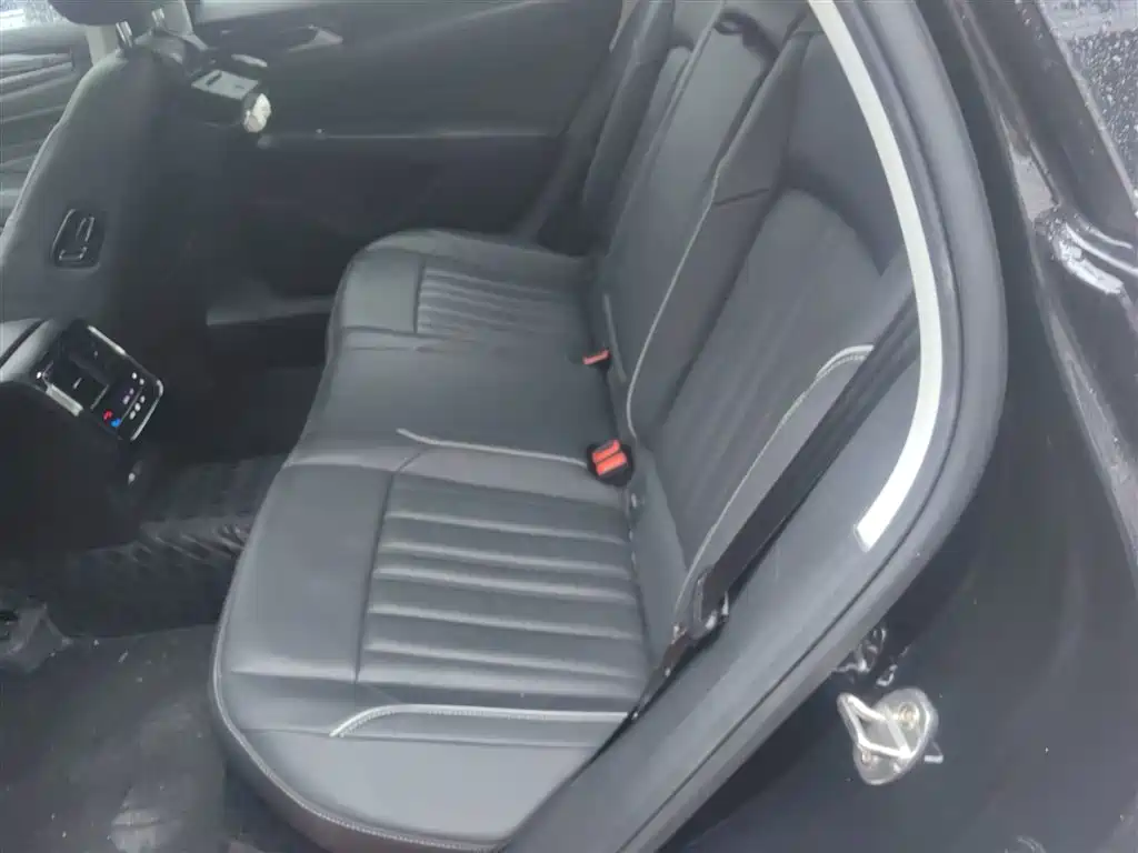 Volkswagen Passat 2023 Facelift 330TSI Starlight Elite Edition фото 13