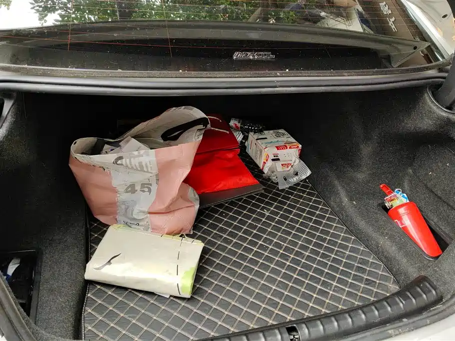 BMW 5 Series 2023 530Li Leading Luxury Package фото 4