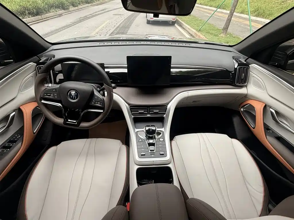 BYD Song Pro New Energy 2022 DM-i 51km Luxury фото 9