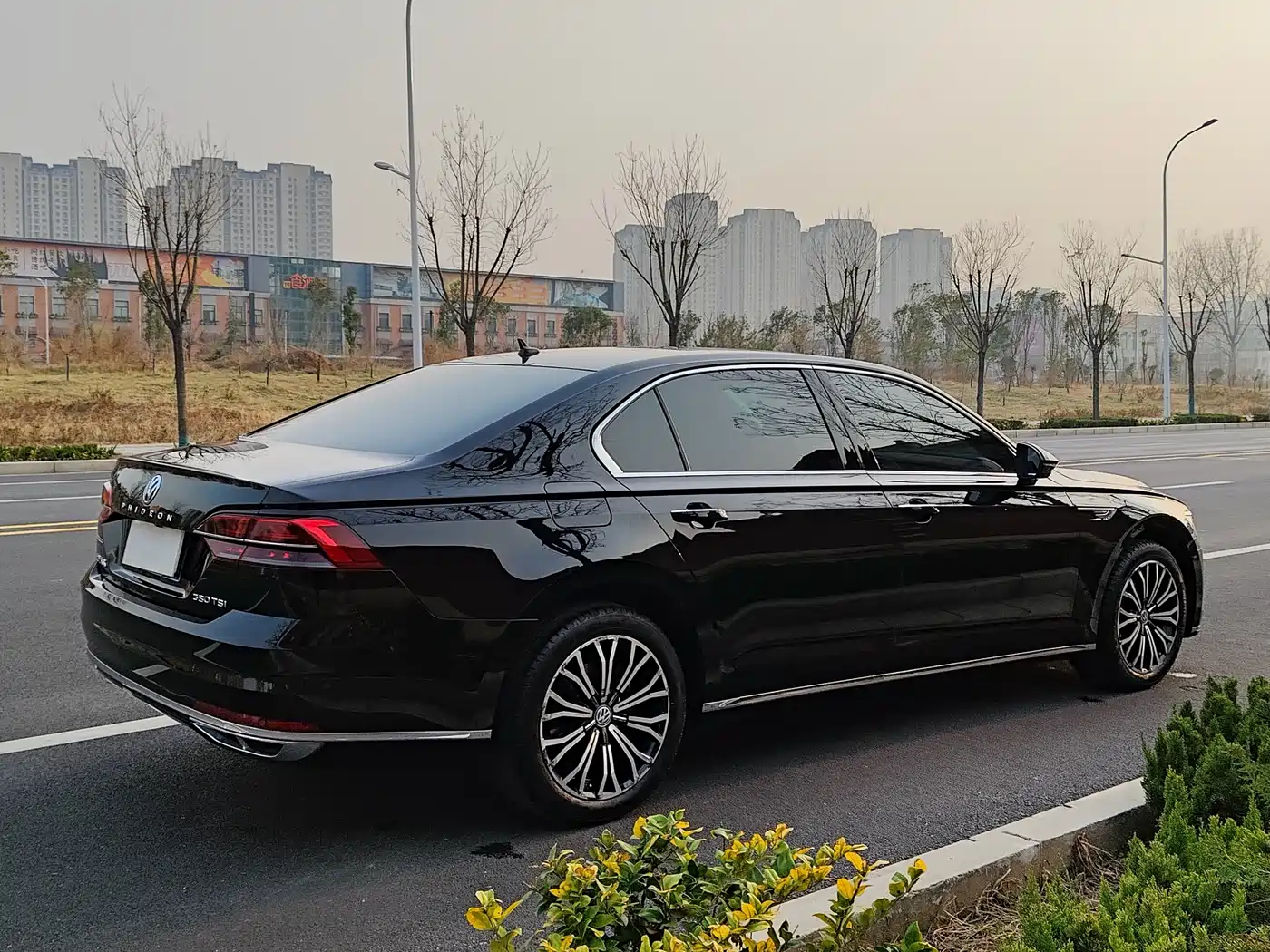 Volkswagen Phideon 2019 380TSI 2WD Business Edition China V фото 29