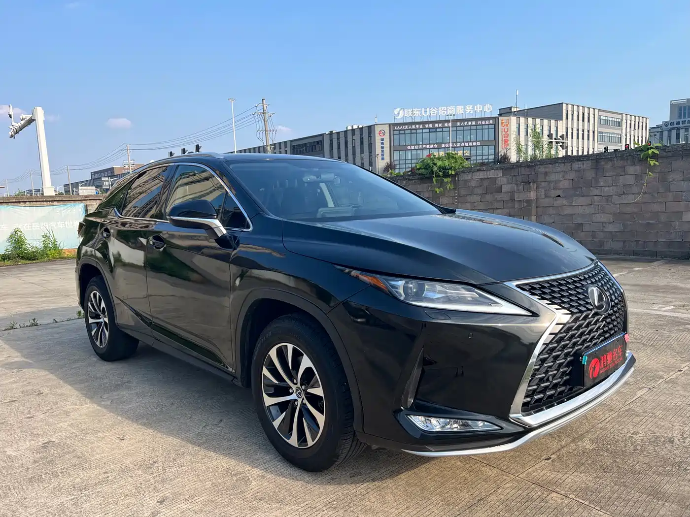 LEXUS RX