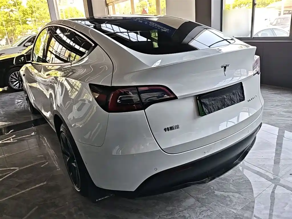 Tesla Model Y 2021 2021 Long Range All-Wheel Drive 3D7