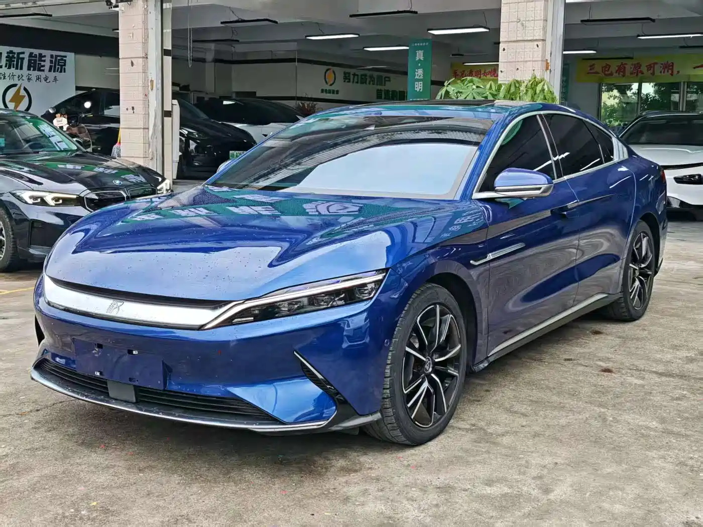 BYD Han 2020 EV AWD High-Performance Flagship фото 2