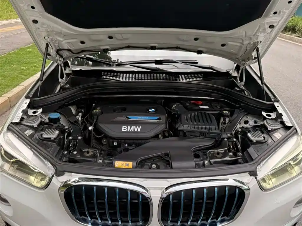 BMW X1 New Energy 2018 xDrive25Le Luxury Model фото 9