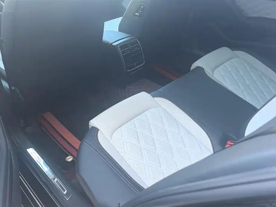 Volkswagen Magotan 2025 Facelift Public Edition 330TSI DSG Luxury фото 11