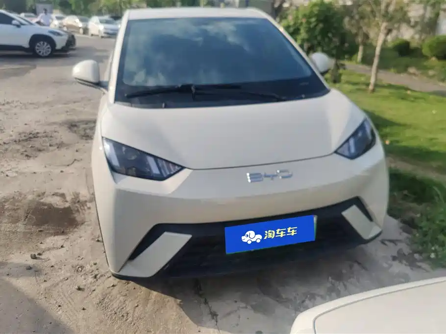 BYD Seagull 2024 Glory Edition 305km Vitality Edition фото 2