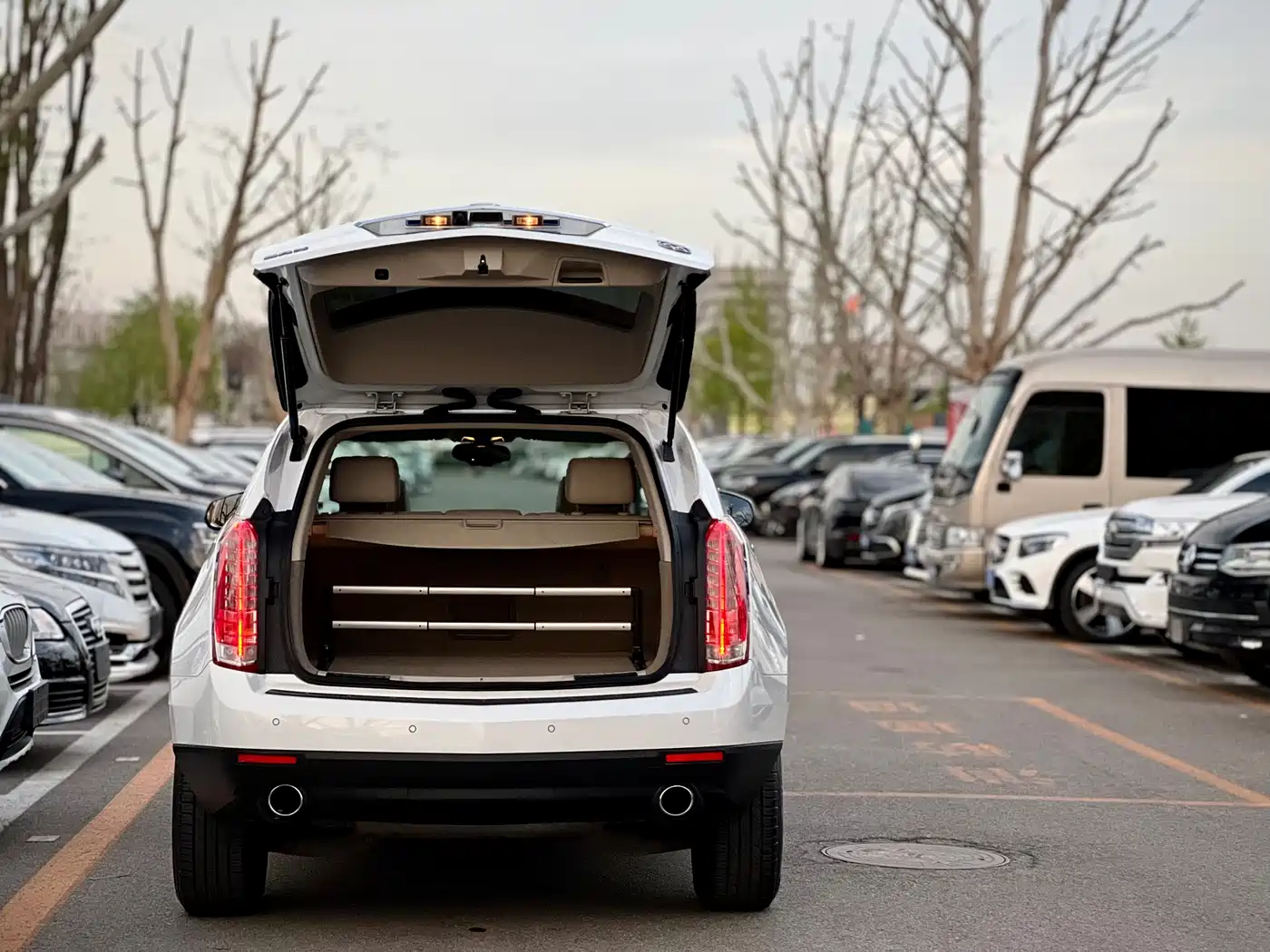 Cadillac SRX 2014 3.0L Elite Model фото 6