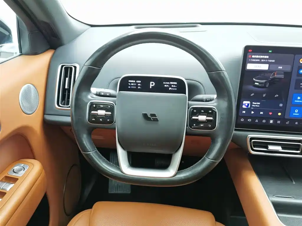 Li Auto Li L8 2023 Max фото 11