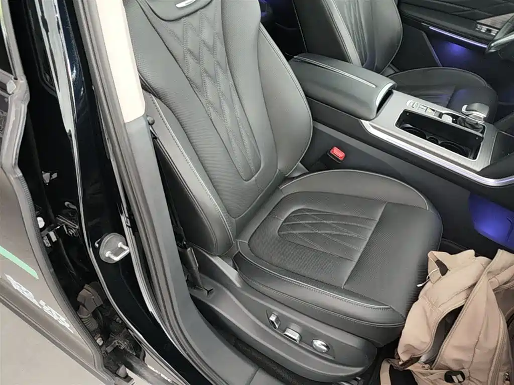 Hongqi HS7 PHEV 2024 2.0T PHEV 4WD Flagship Edition 6-seater фото 25