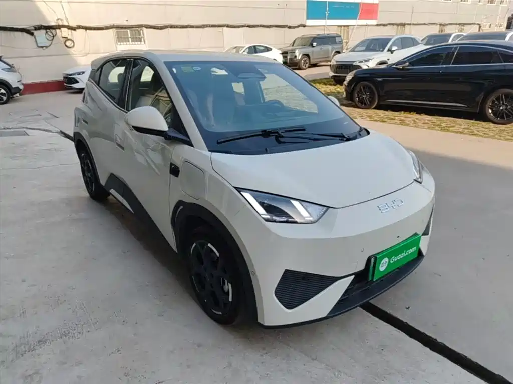 BYD Seagull 2025 Smart Drive Edition 305km Freedom Version фото 4