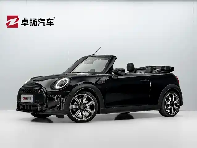 Mini MINI 2.0T COOPER S CABRIO, Артист