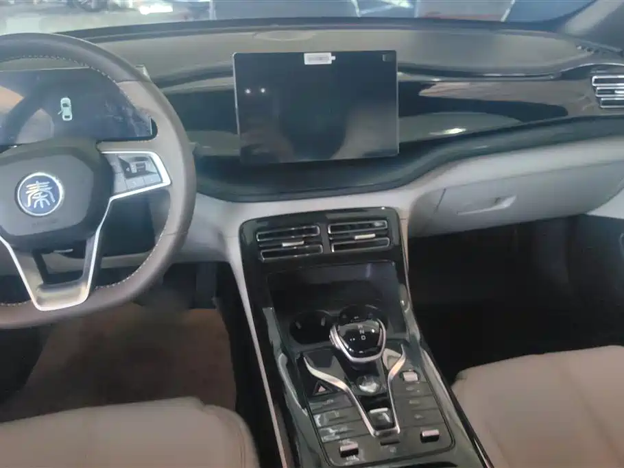 BYD Qin PLUS 2023 Champion Edition DM-i 55KM Leading фото 13