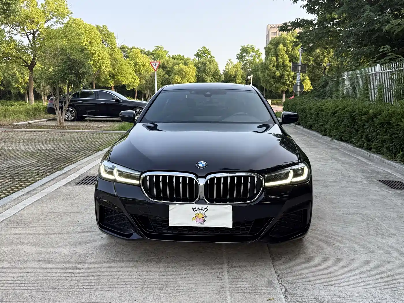 BMW 5 Series 2022 530Li Leading M Sport Package фото 3