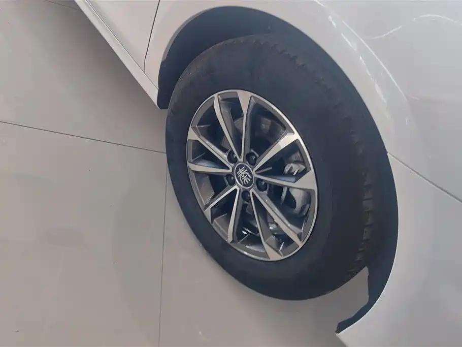 BYD Qin PLUS 2023 Champion Edition DM-i 55KM Leading фото 6