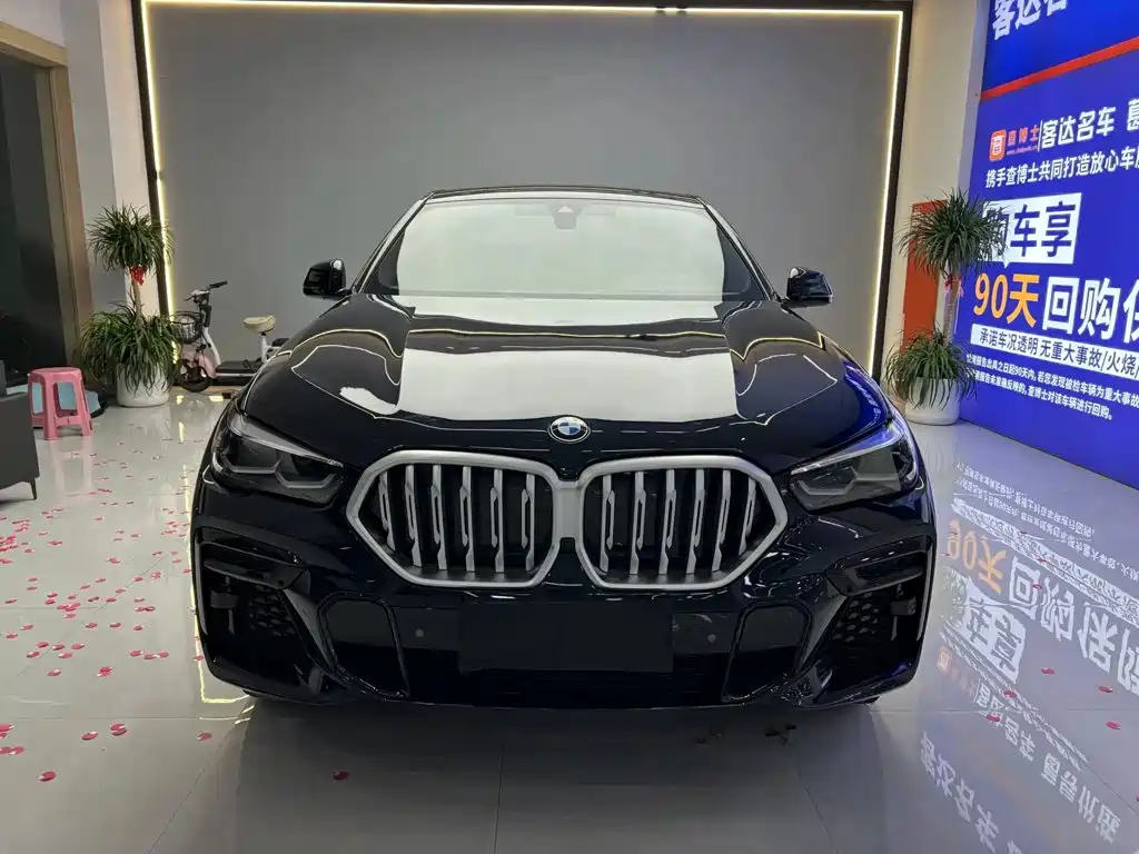 صورة 2 - BMW X6