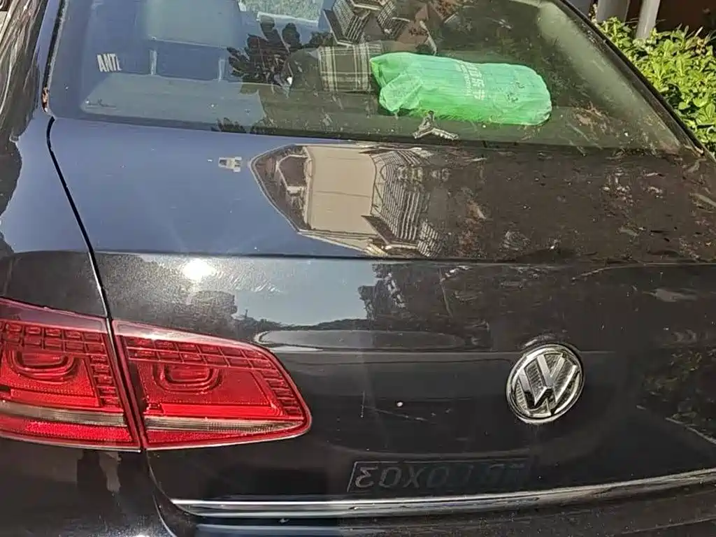 Volkswagen Magotan 2015 1.8TSI Luxury фото 7