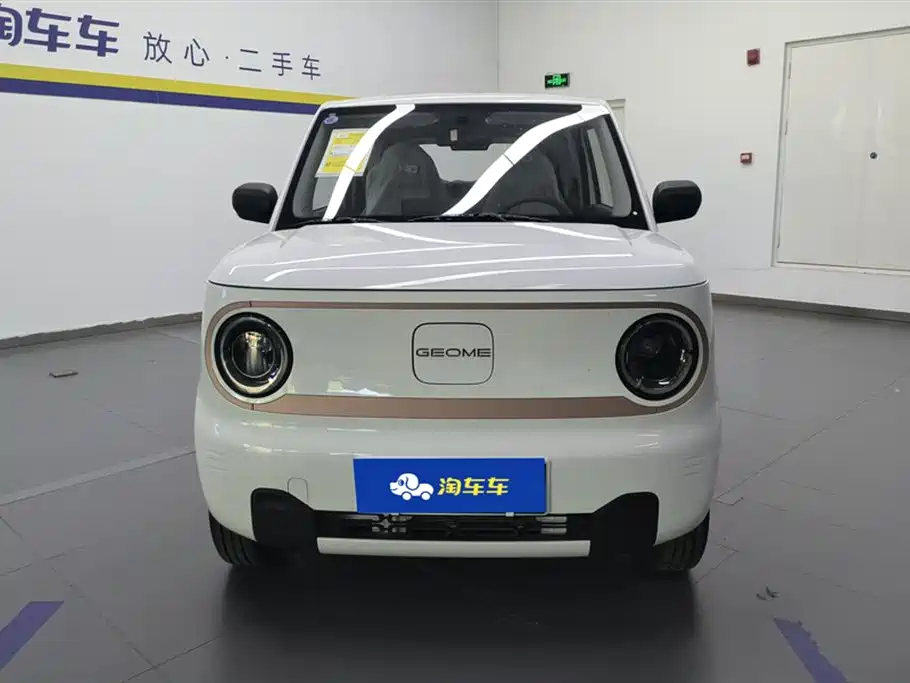 Geely Galaxy Panda 2024 Panda mini 200km Endurance Bear фото 2