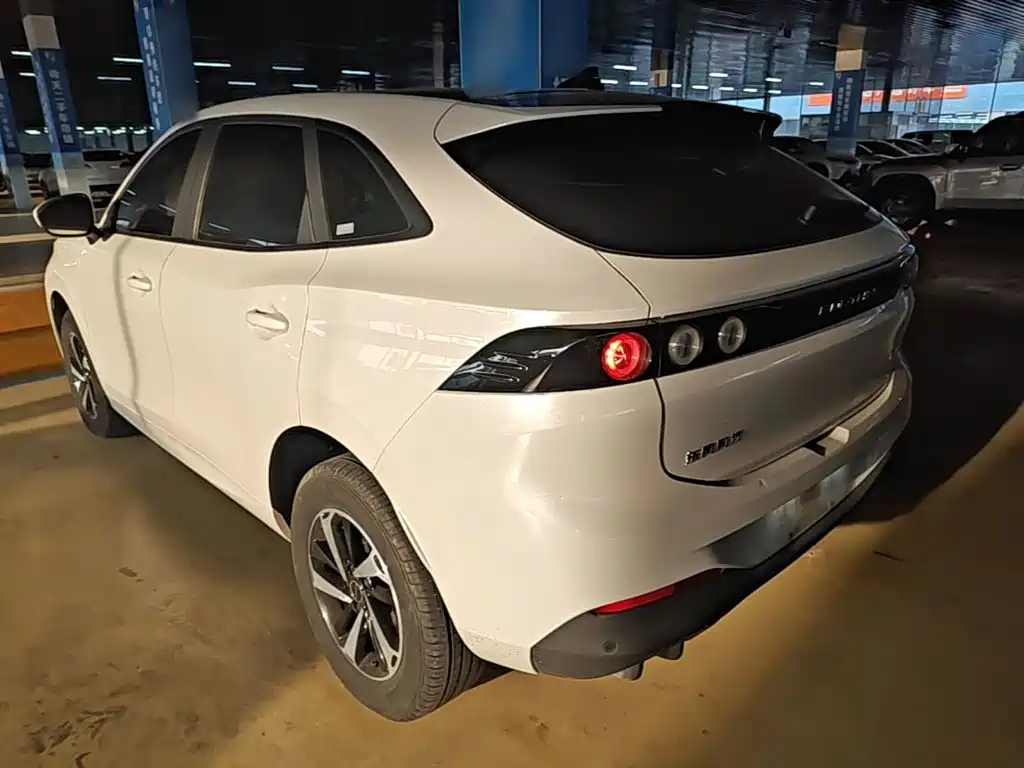 Dongfeng Fengxing Fengxing Thunder 2024 2024 410+