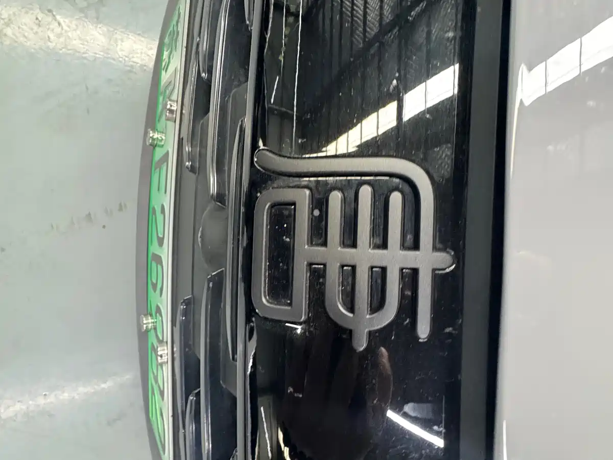 BYD Tang New Energy 2025 Smart Driving Edition DM-i 115KM Flagship фото 31