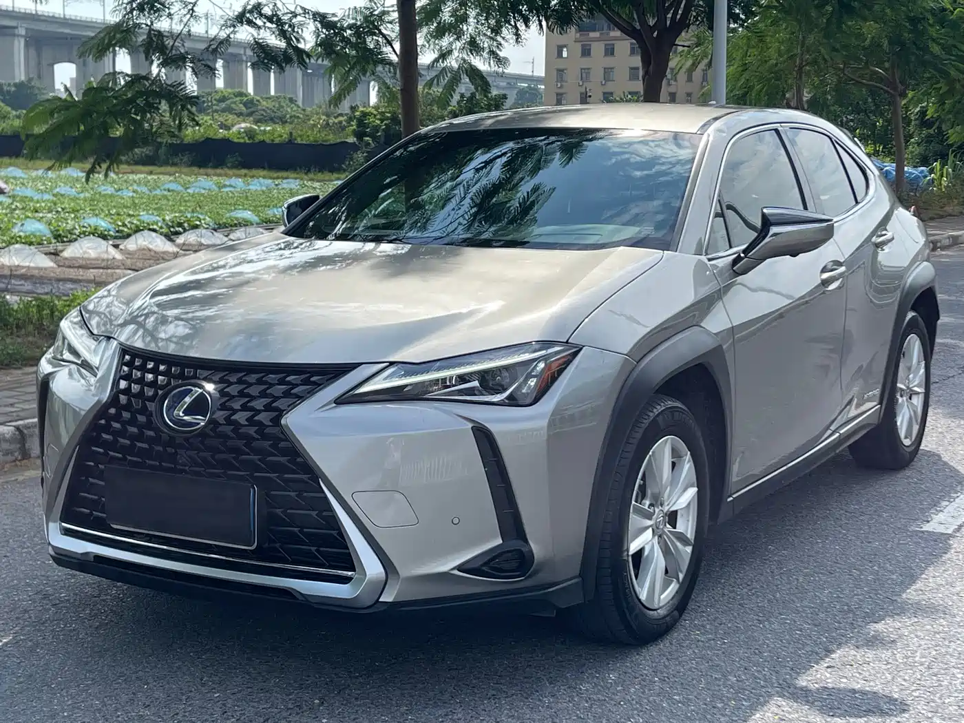 Фото 1 - Lexus UX