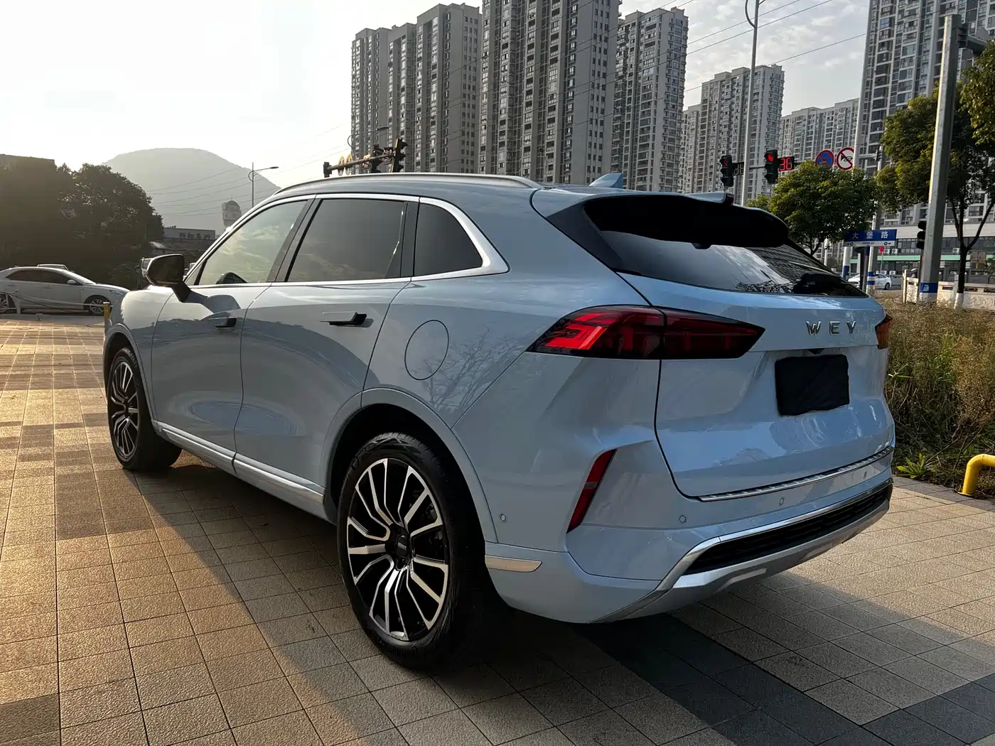 WEI PAI WEI BRAND MOCHA