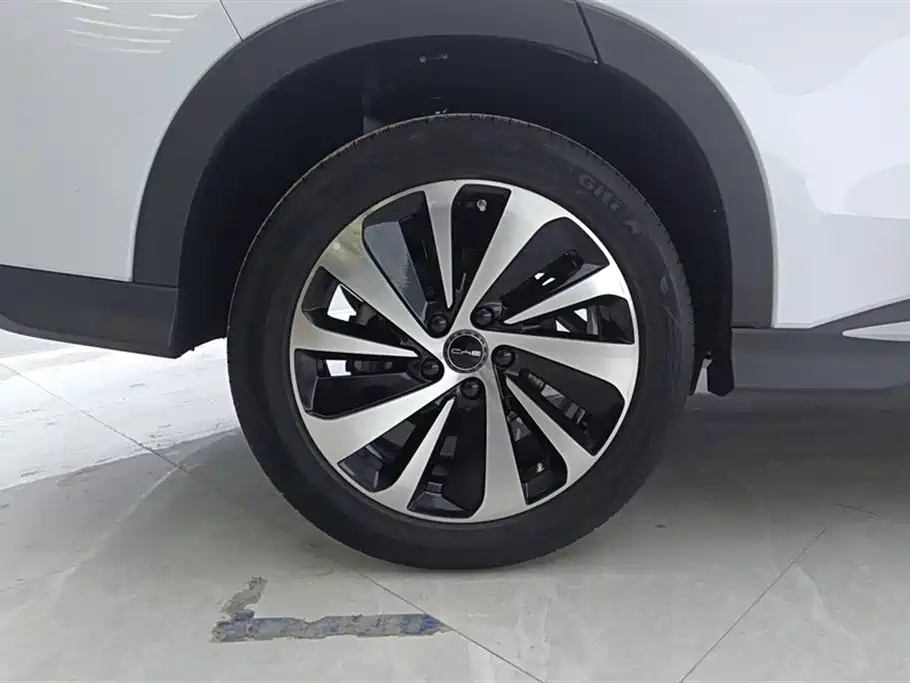 BYD Song PLUS PHEV 2024 Glory Edition DM-i 110km Flagship PLUS фото 6