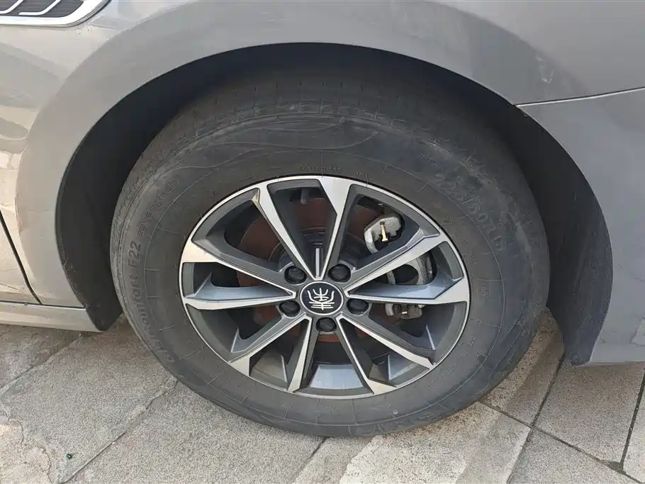 BYD Qin PLUS 2023 Champion Edition DM-i 55KM Leading фото 6