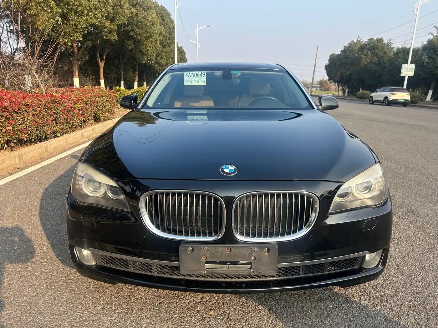 BMW 7 Series 2011 730Li Elegance фото 2