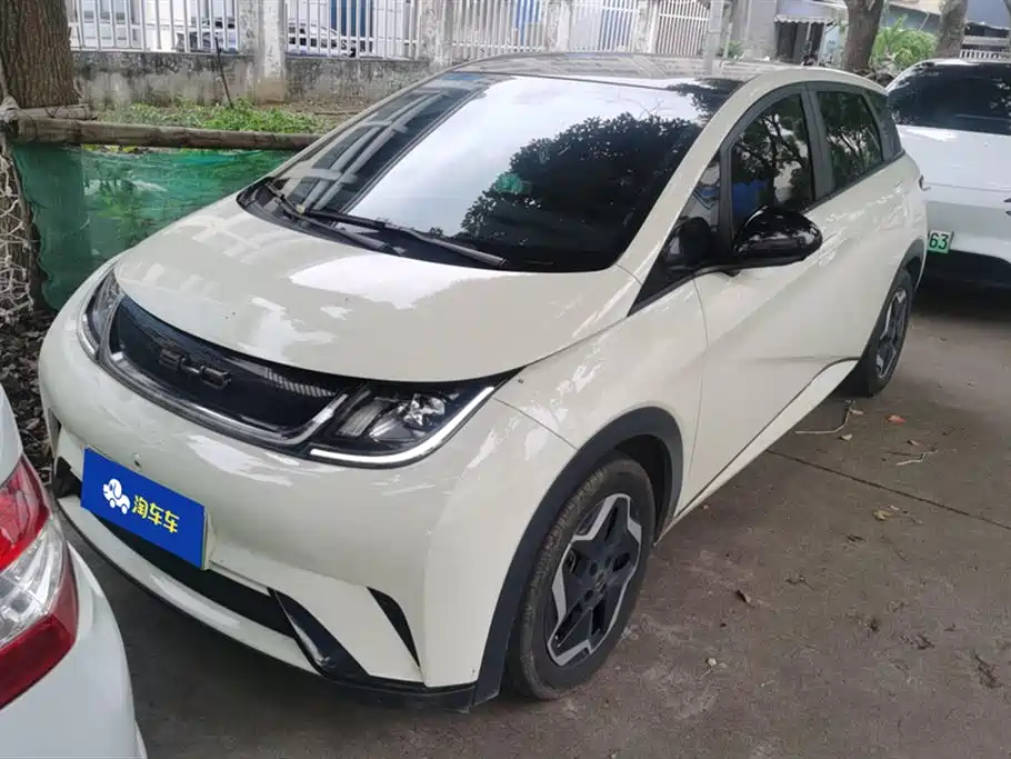 BYD Dolphin 2021 Model 405km Fashion Edition