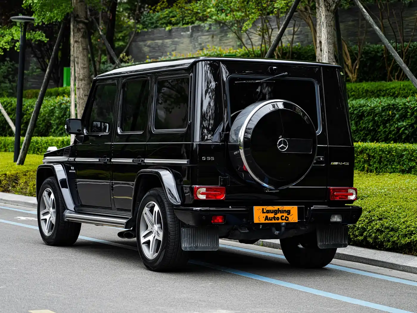 Mercedes-Benz G-Class AMG 2009 AMG G 55 фото 9