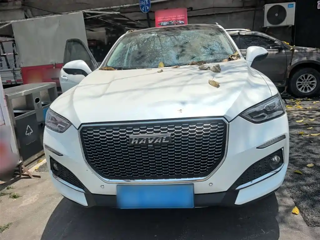 Haval F5 2018 1.5T i-Style фото 3