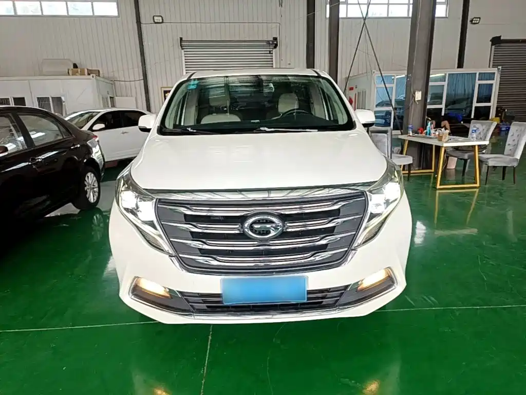 GAC Trumpchi Trumpchi M8 2018 2018 320T Premium Edition
