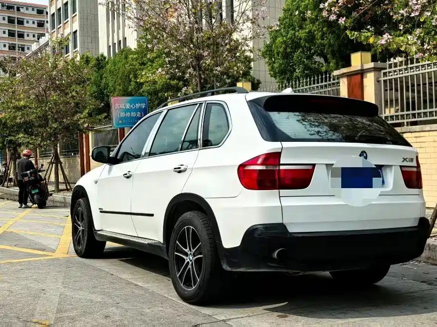 BMW X5 (Import) 2009 xDrive30i Luxury фото 7