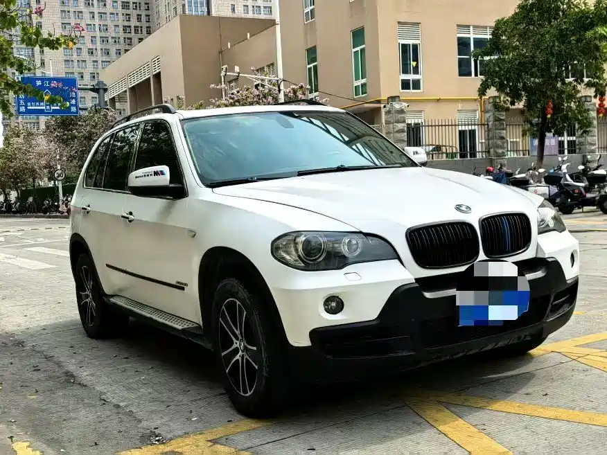 BMW X5 (Import) 2009 xDrive30i Luxury фото 3