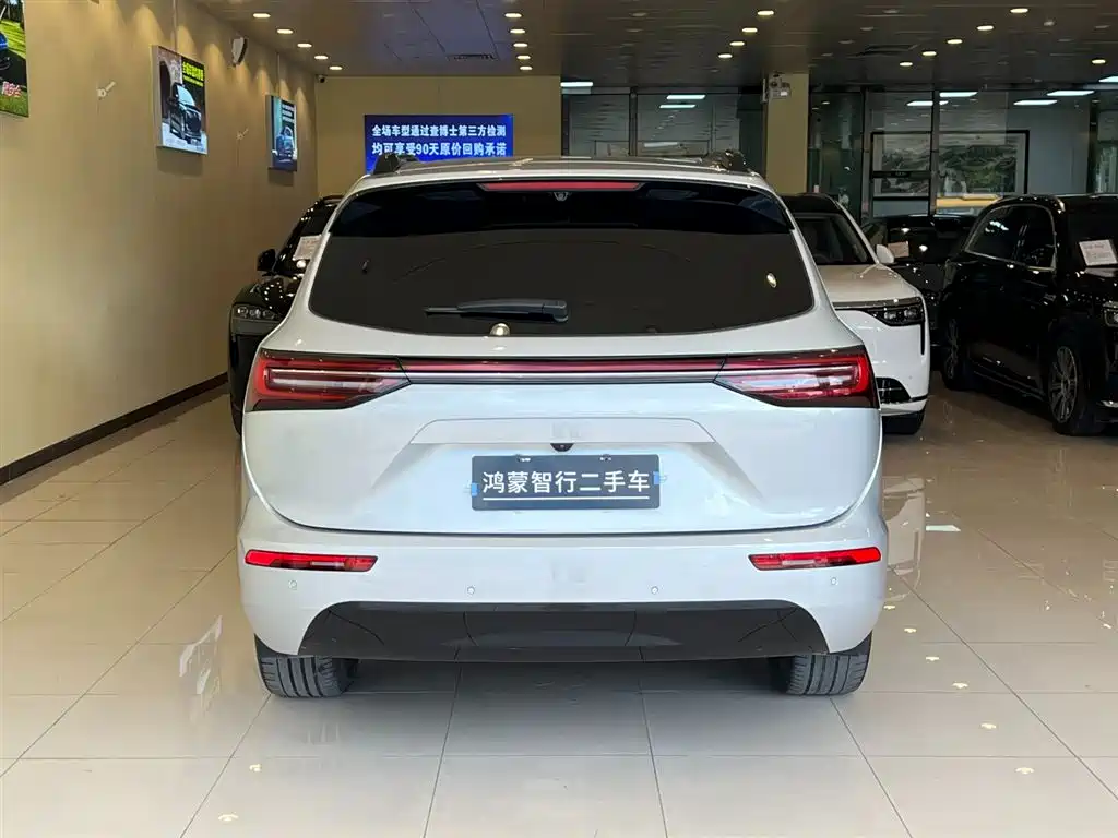 AITO Wenjie AITO M7 2024 1.5T Smart Drive RWD Ultra 5-seater фото 7