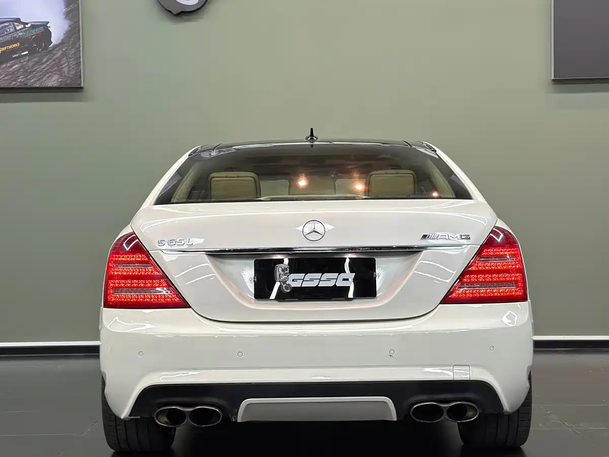 Mercedes-Benz S-Class AMG 2010 AMG S 65 фото 7