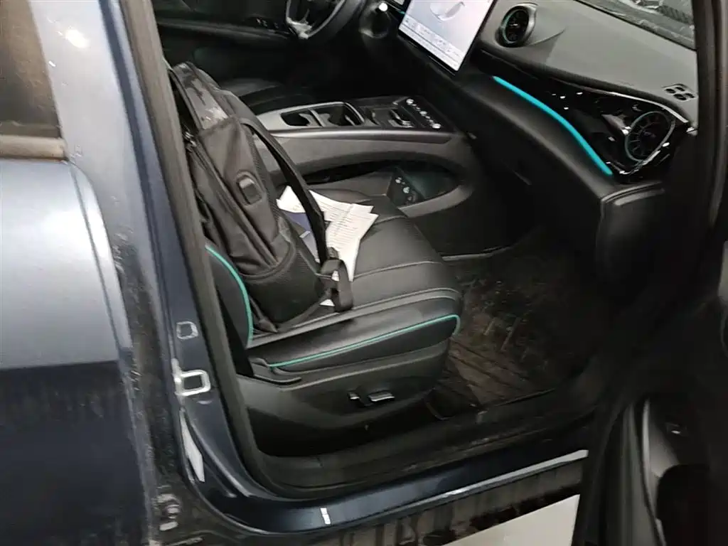 BYD Dolphin 2025 Smart Drive Edition 410km Fashion Version фото 25