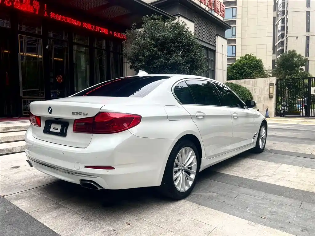 BMW 5 Series 2020 530Li Leading Luxury Package фото 6