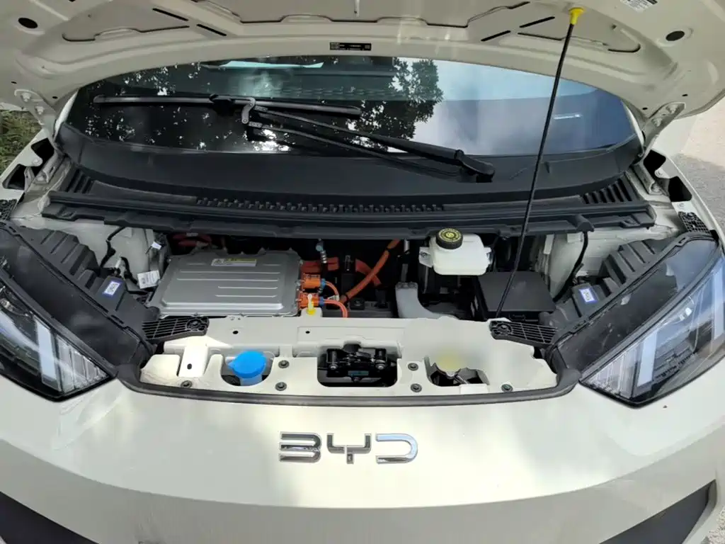 BYD Seagull 2026 2025 Smart Drive Edition 305km Vitality Version