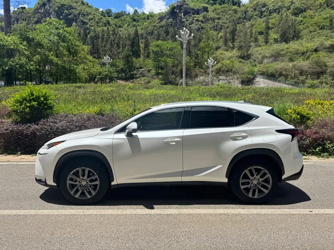 Lexus NX 2015 200t AWD F Sport фото 7
