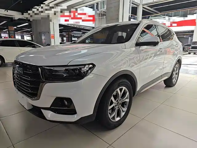 Haval Haval H6 2021 Model National Trend Edition 1.5T Auto Champion