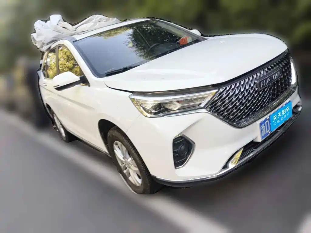 Photo 3 - Haval M6
