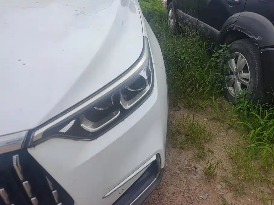 Leopaard Mattu 2020 2018 1.6T GDI DCT Luxury