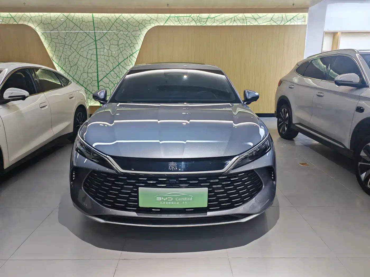 BYD QIN L