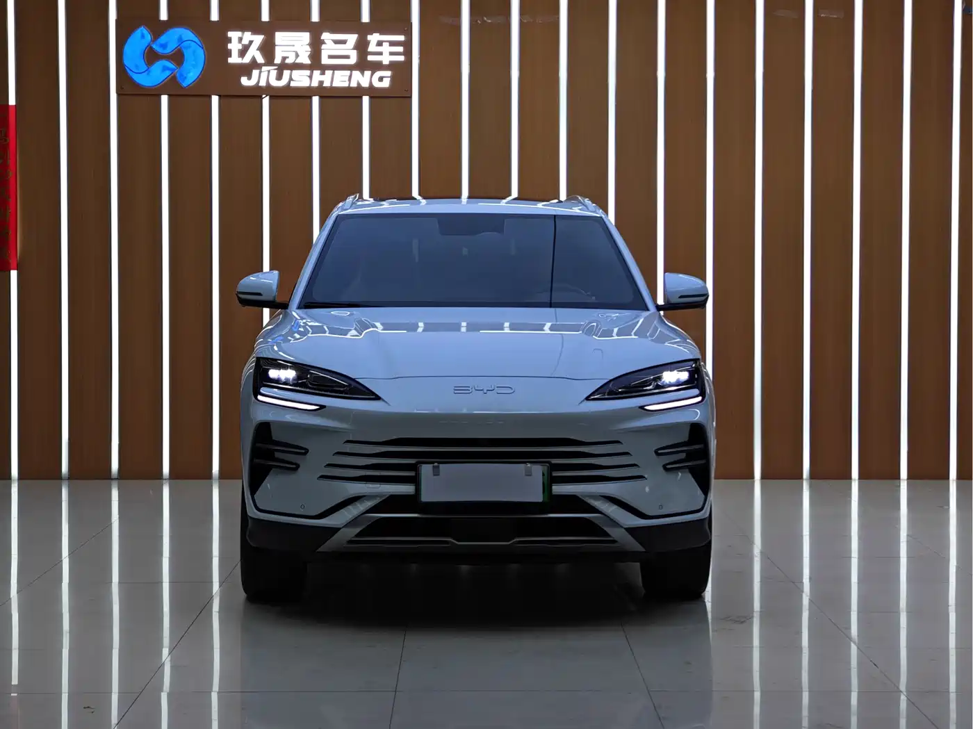 BYD SONGJIANG NEW ENERGY