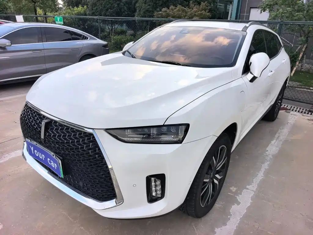 2018 WEY P8