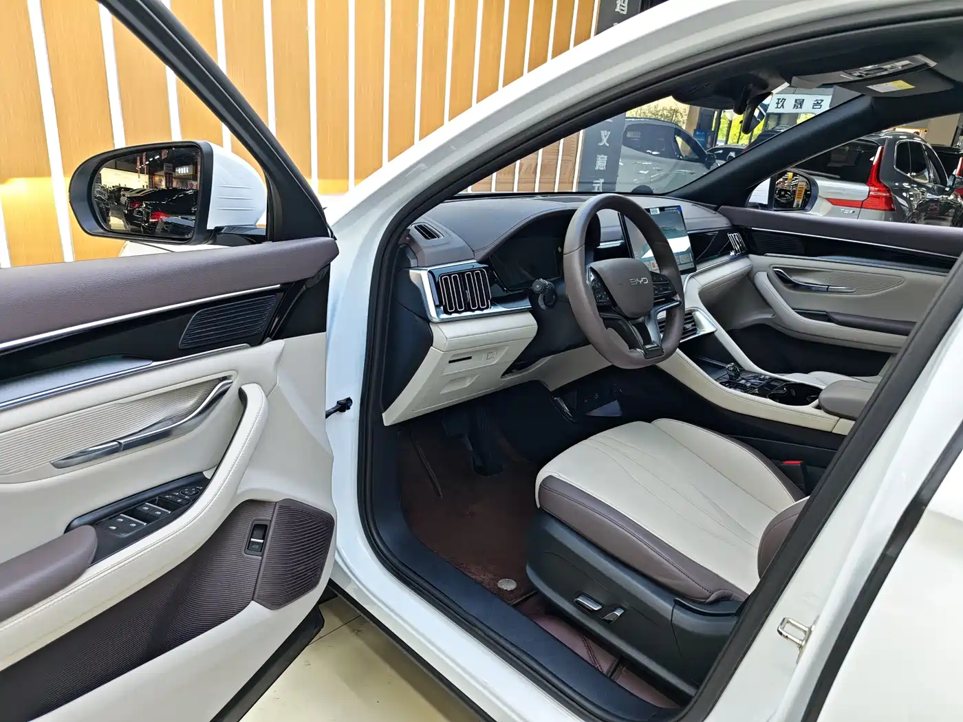 BYD SONGJIANG NEW ENERGY