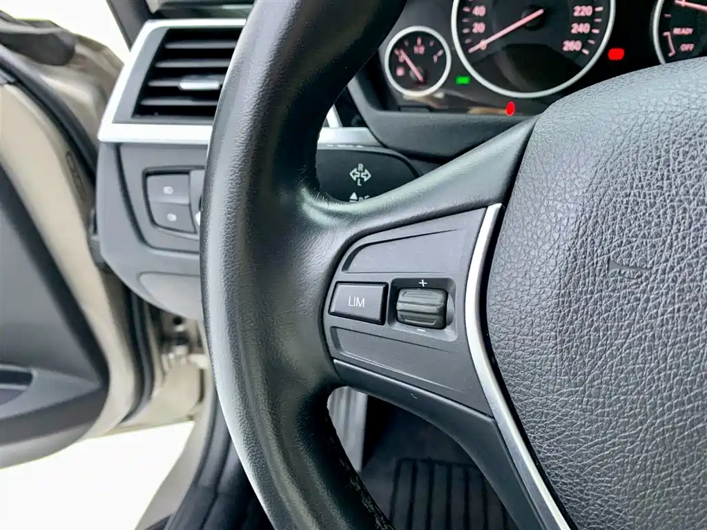 BMW 3 Series 2018 318Li фото 18