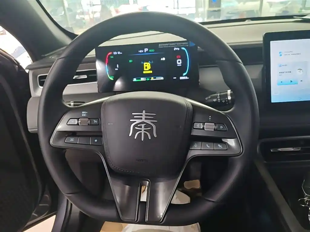 BYD Qin PLUS 2025 DM-i Smart Drive 55KM Leader фото 11