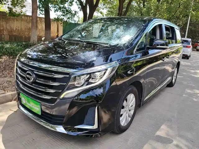 GAC Trumpchi Trumpchi M8 2020